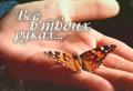 Притча про бабочку Притча о бабочке: все в твоих руках